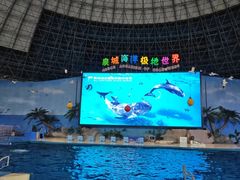 -泉城欧乐堡海洋极地世界