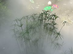 -大妙火锅·非物质文化遗产(东湖公园店)