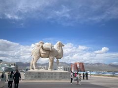 -马永华东乡手抓美食