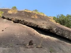 -九曲溪竹筏码头