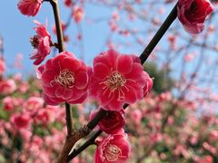 -白塘生态植物园