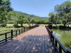 -八卦田遗址公园