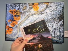 -福州海峡文化艺术中心