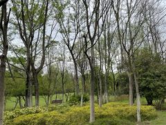 -合肥三国新城遗址公园