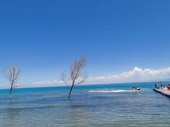 -蘭番坊青海特色铜锅涮·清真