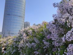 -群力丁香公园