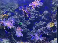 -郑州海洋馆