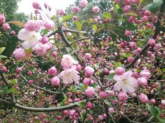 android_upload_pic-上海虹桥迎宾馆