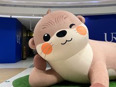-M Stand(深圳湾后海汇店)