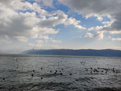 -大理洱海