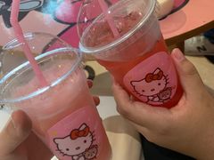 -安吉Hello Kitty乐园