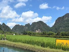 -明仕田园