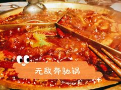 -叁口煮老火锅(东升店)