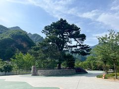 -秦岭终南山世界地质公园翠华山景区