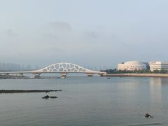 -星光岛