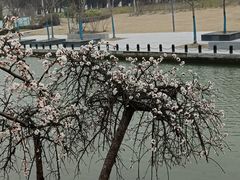 -白塘生态植物园