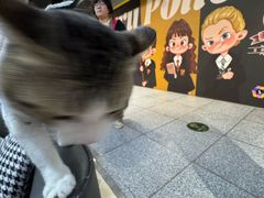 -谜盒子奇幻密室(南屏店)