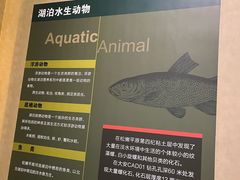 -大庆市博物馆