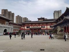 -天龙宝严素食馆(大兴善寺店)