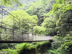-西岭雪山大飞水景区