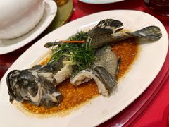 -松雅轩(大源店)