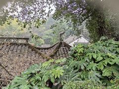 -杭州黄龙洞