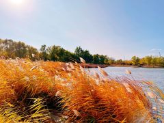 -永定河休闲森林公园