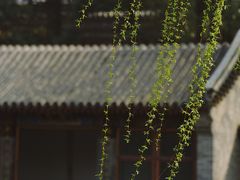 -颐和园