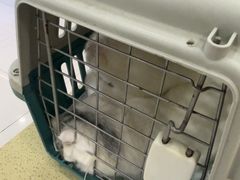 -天宠宠物医院24小时·急重症诊疗中心·全科·腔镜特色(和平分院)