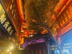 -豫园湖心亭茶楼