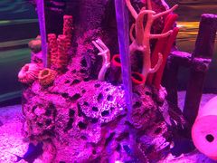 -沈阳海洋探索中心