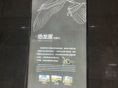 -中国西峡恐龙遗迹园