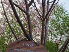 -南溪山景区