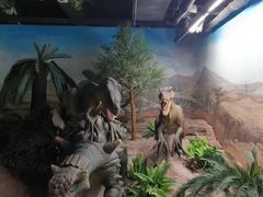 -国家自然博物馆