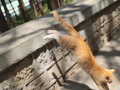 -四门塔风景区