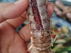 -阿尔法海鲜排档(爱琴海店)