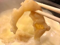 -鲜入围煮花胶鸡海鲜火锅