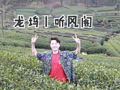 -听风阁农家私房菜茶楼(龙坞店)