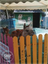 -萌宠亲子动物乐园(槐房万达店)