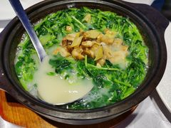 栾氏烤鸭(药城店)-菜-上汤豌豆苗图片-泰州-大众点评网