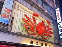 -蟹道乐(道顿堀本店)