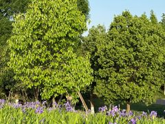 -白鹭湾湿地公园