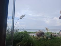 -洱海月湿地公园