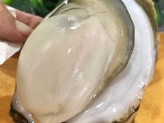 -蚝专家(北滘店)