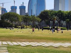 -白鹭洲公园