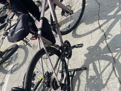 -道路口单车爱瓦士dahon大行