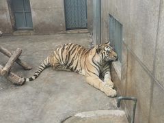 -西安秦岭野生动物园