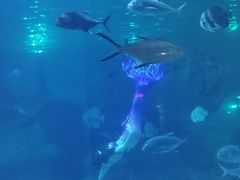 -福州罗源湾海洋世界旅游区
