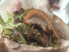 -郑州烤鸭总店