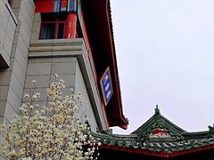 -中国中医科学院西苑医院(本部)